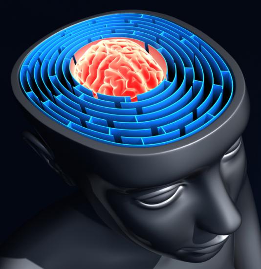 brain-aa60024a.jpg