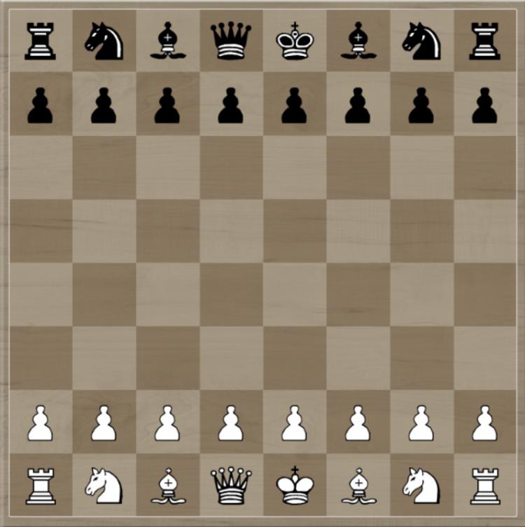 Leren schaken voor starters: zijn regels